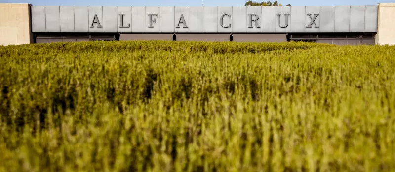 Alfacruz panoramica
