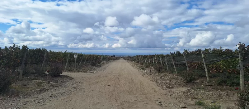 Uco Valley