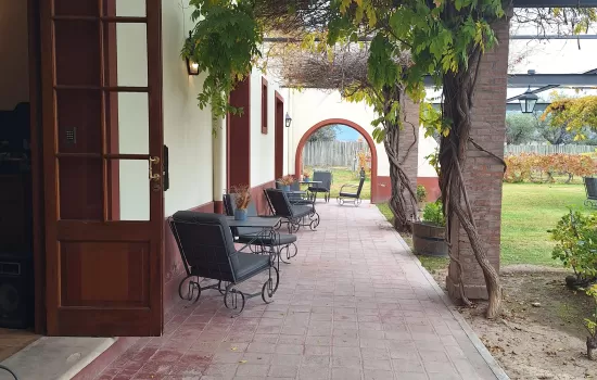 alta vista