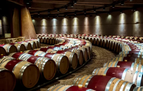 Uco Valley, Trendy Wineries