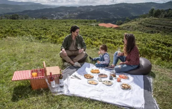 Winery Pic Nic