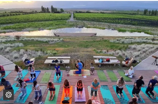 Yoga along the Wine Paths